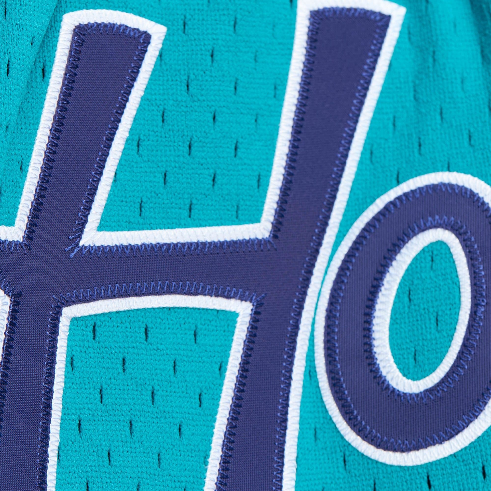 Спортивные шорты Mitchell & Ness Just Don Practice Charlotte Hornets Shorts