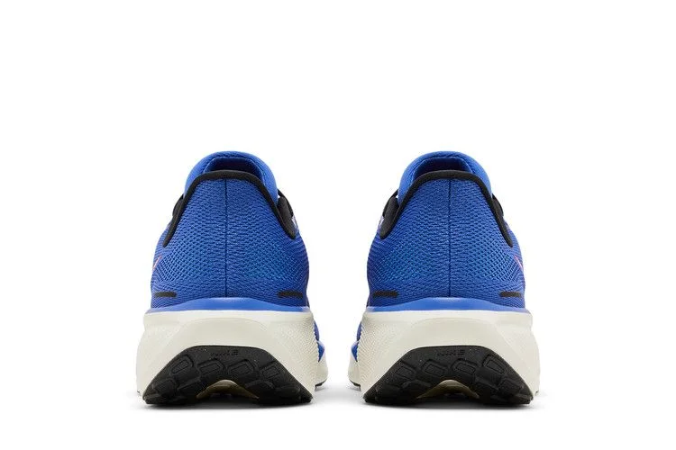 Кроссовки Nike Air Zoom Pegasus 41 Extra Wide 'Astronomy Blue'