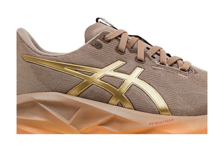 Кроссовки ASICS Wmns Novablast 5 'Luxe'