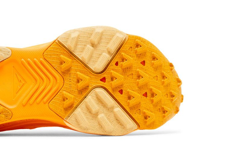 Кроссовки Nike Wmns ZoomX Zegama 'Sundial'