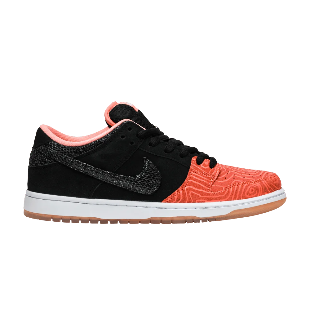 Krossovki-Premier-x-Nike-Dunk-Low-Pro-SB-Fish-Ladder