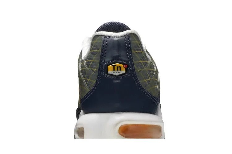 Кроссовки Nike Air Max Plus 'Wave Grid'