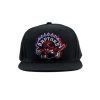 Team_Ground_Snapback_Toronto_Raptors_1-100x100