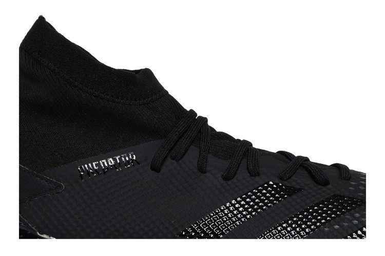 Кроссовки Adidas Predator 20.3 FG 'Core Black'
