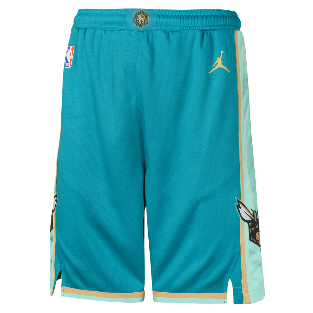 Спортивные шорты Nike Charlotte Hornets 2024 City Edition Swingman Youth NBA Shorts
