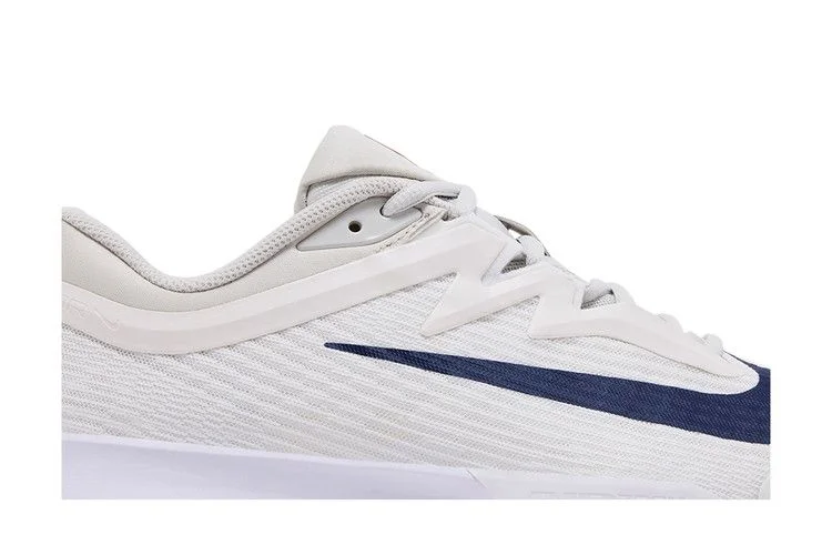 Кроссовки NikeCourt Air Zoom Vapor Pro 3 HC 'Light Bone Binary Blue'