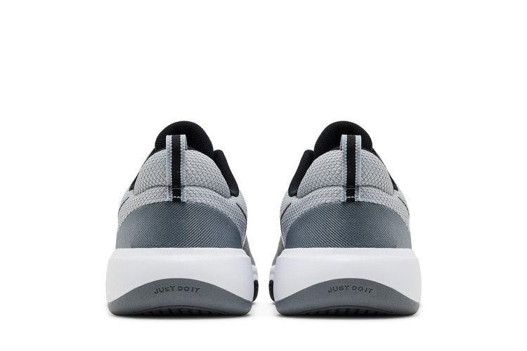 Кроссовки Nike City Rep TR 'Wolf Grey'