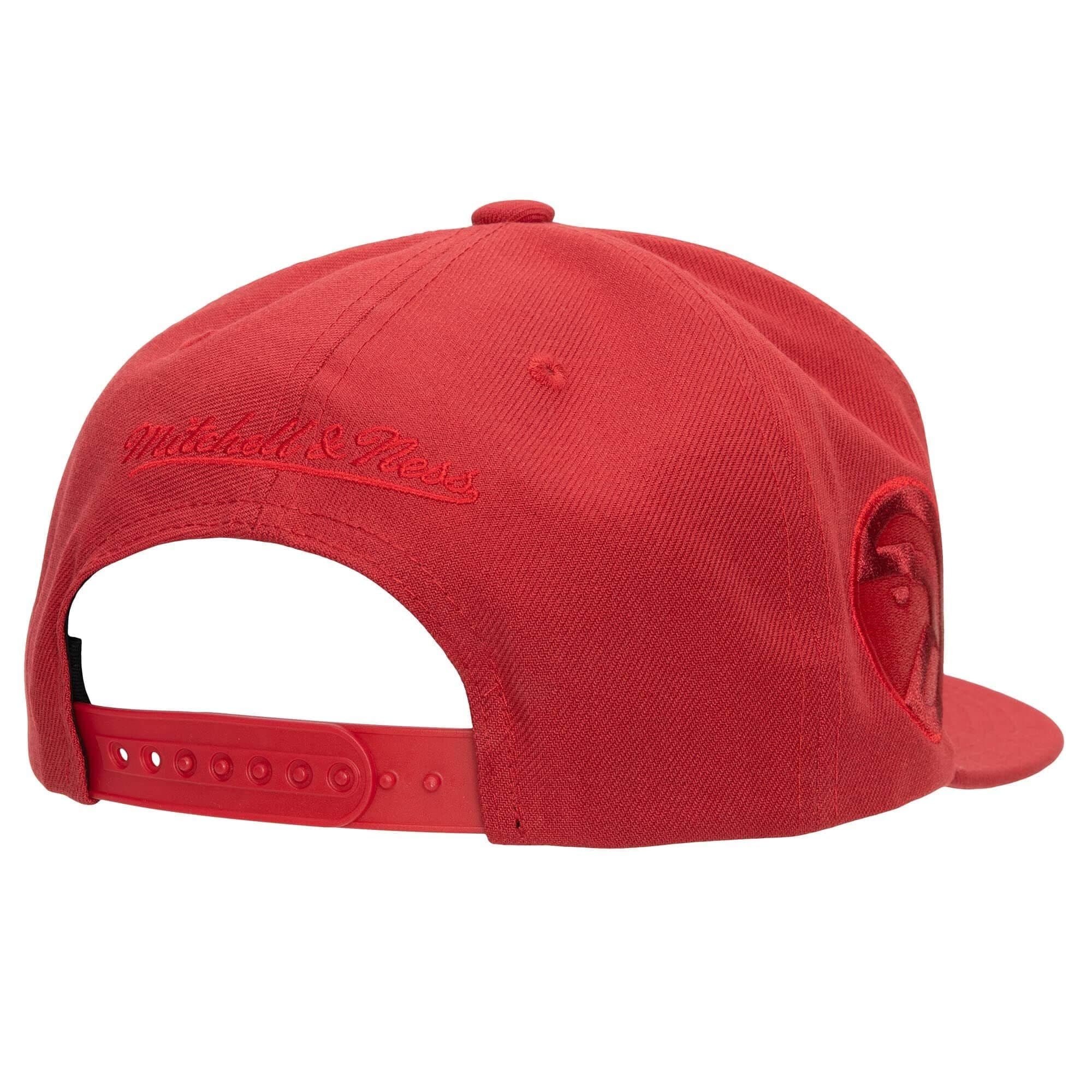 Бейсболка Mitchell & Ness Monochromatic Snapback HWC Atlanta Hawks Hat