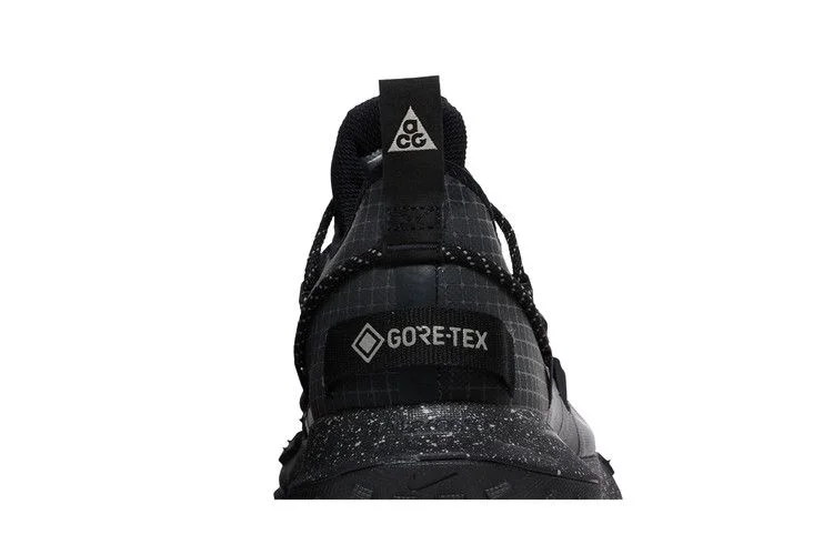 Кроссовки Nike ACG Mountain Fly Low GTX SE 'Dark Smoke Grey'
