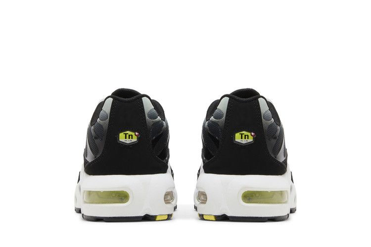 Кроссовки Nike Air Max Plus GS 'Black Bright Cactus'