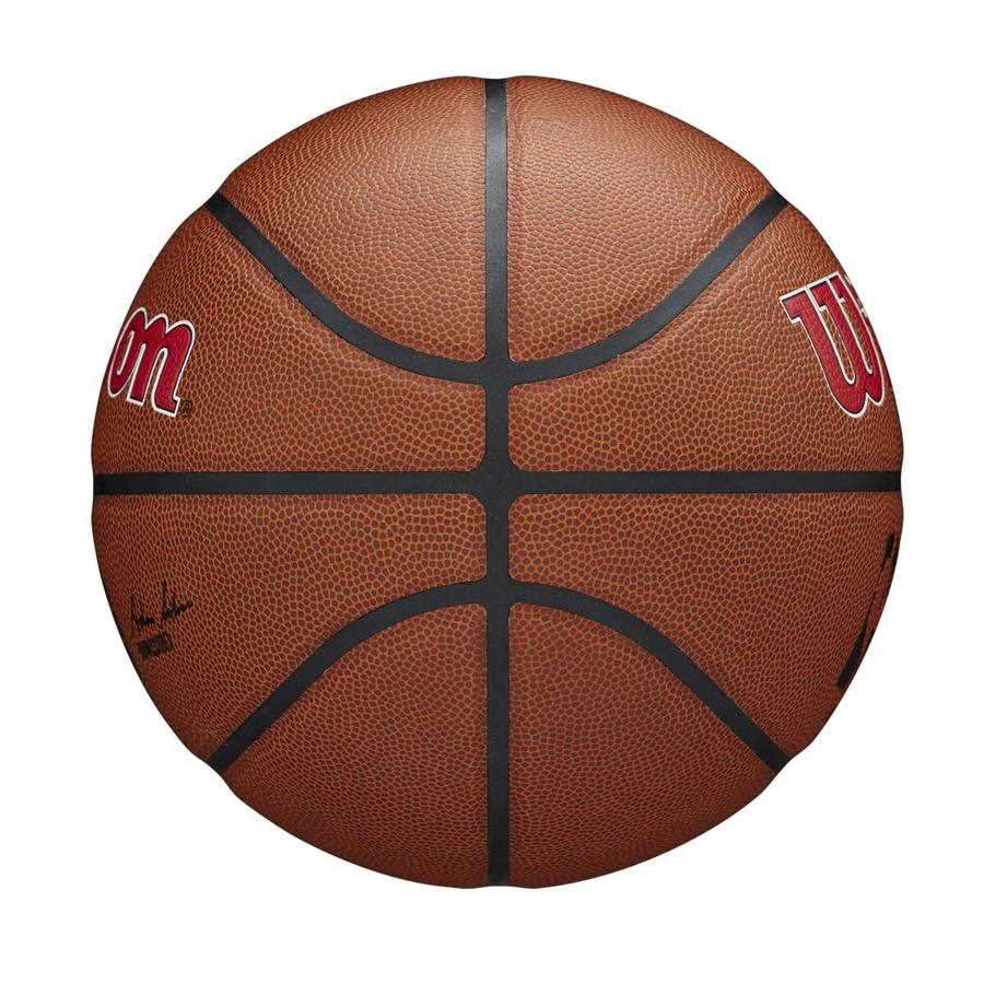 Wilson-Toronto-Raptors-Team-Alliance-NBA-Basketball-6