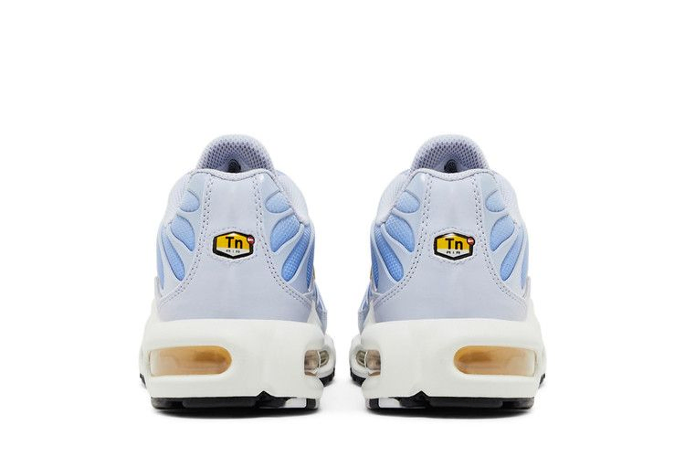 Кроссовки Nike Wmns Air Max Plus 'Daybreak'
