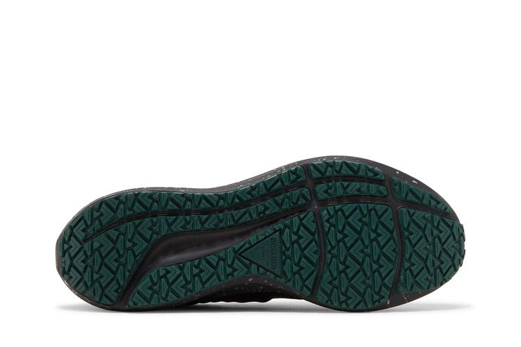 Кроссовки Nike Wmns Air Zoom Pegasus 39 Shield 'Bling'