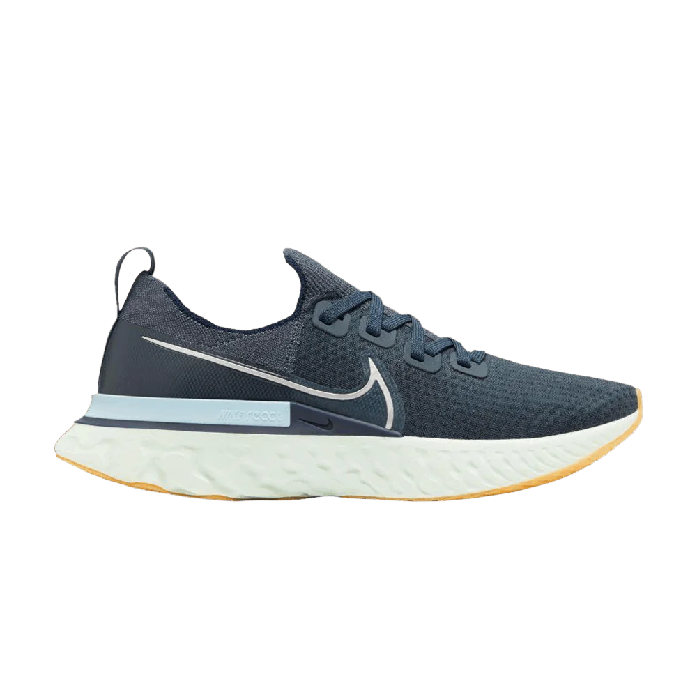 Krossovki-Nike-React-Infinity-Run-Flyknit-Blue-Fox