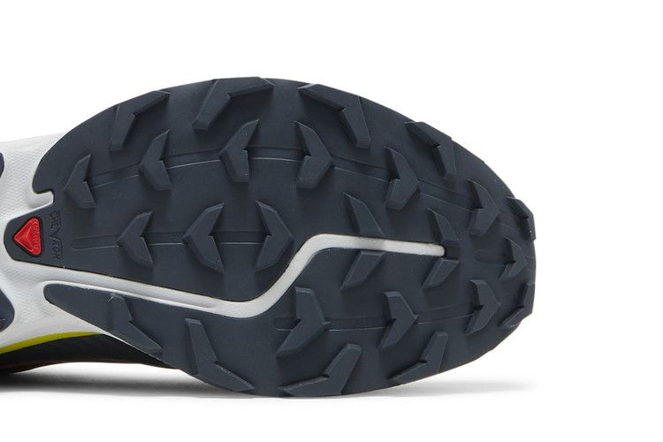 Кроссовки Salomon XT-4 Advanced 'Mulberry'