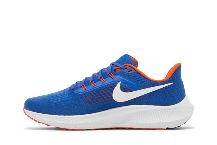 Кроссовки Nike Air Zoom Pegasus 39 'Florida Gators'