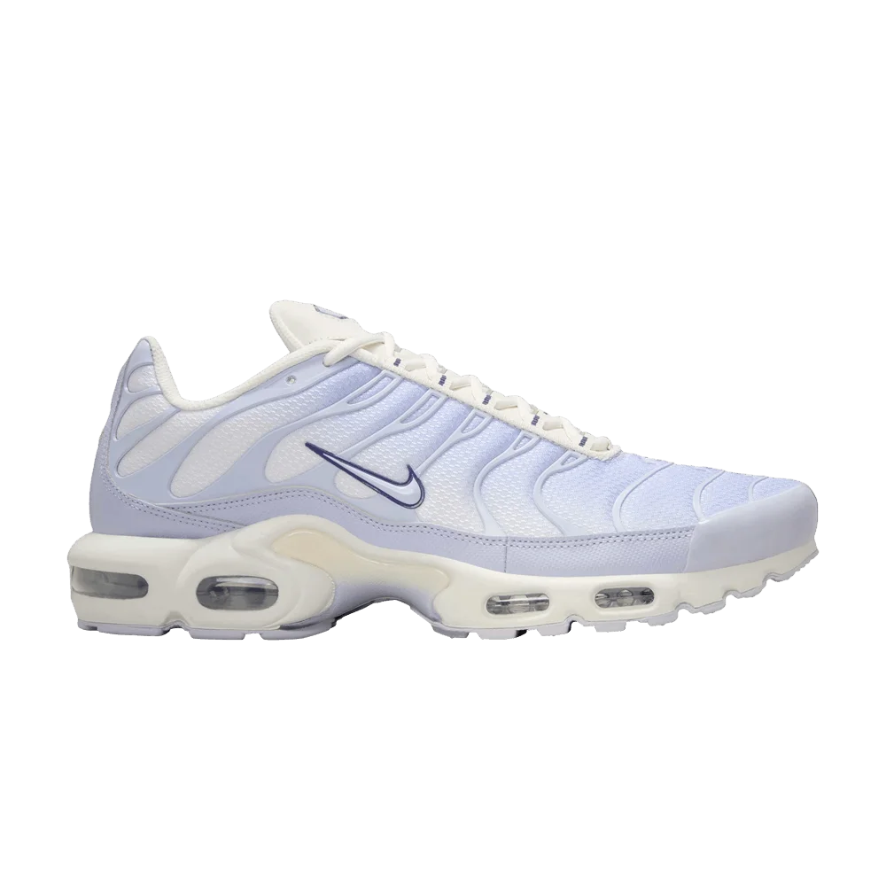 Кроссовки Nike Air Max Plus 'Ghost'