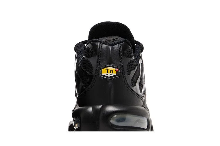 Кроссовки Nike Wmns Air Max Plus 'Triple Black'