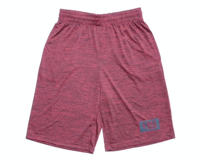 Баскетбольные шорты 2018 NBA Training Shorts Red