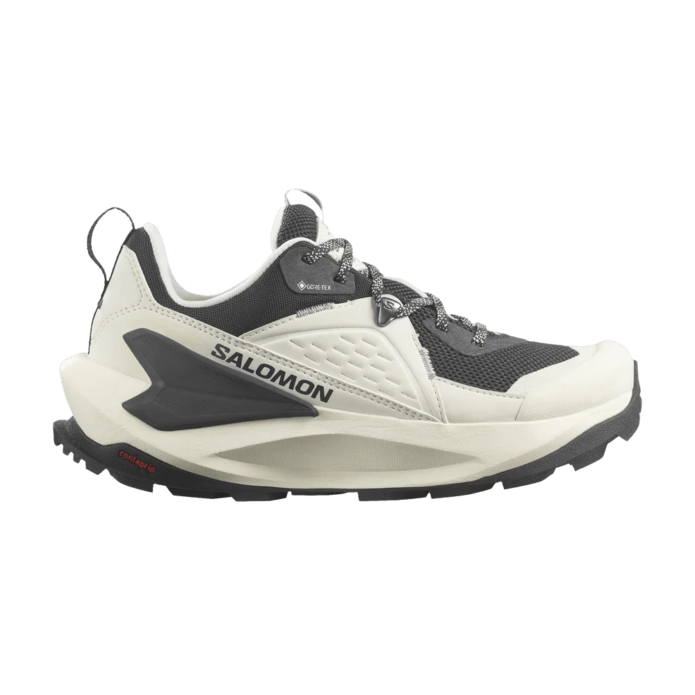 Krossovki-Salomon-Wmns-Elixir-GORE-TEX-Vanilla-Ice-Metal