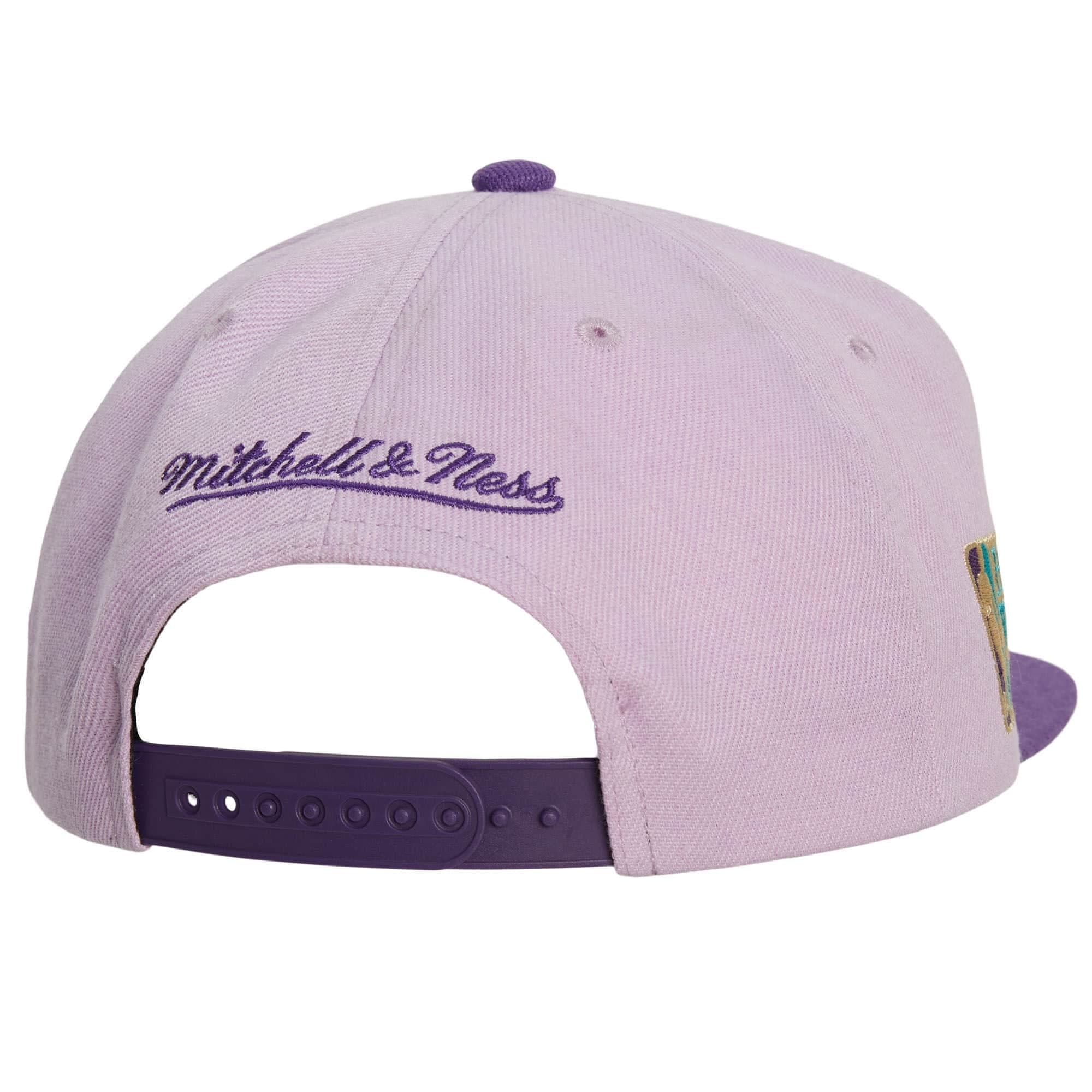 Mitchell-Ness-Violet-Views-Snapback-HWC-Charlotte-Hornets-Hat-2