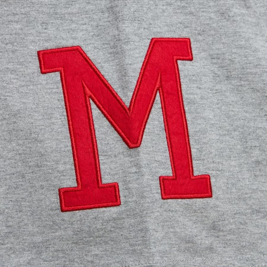 Футболка Mitchell & Ness Hank Aaron Gray Milwaukee Braves Player Crewneck T-Shirt