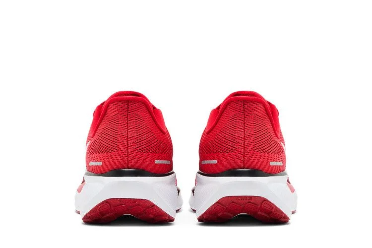 Кроссовки Nike Air Zoom Pegasus 41 'Georgia 2024'