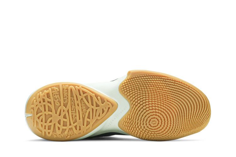 Кроссовки Nike Zoom Freak 2 'Ashiko'