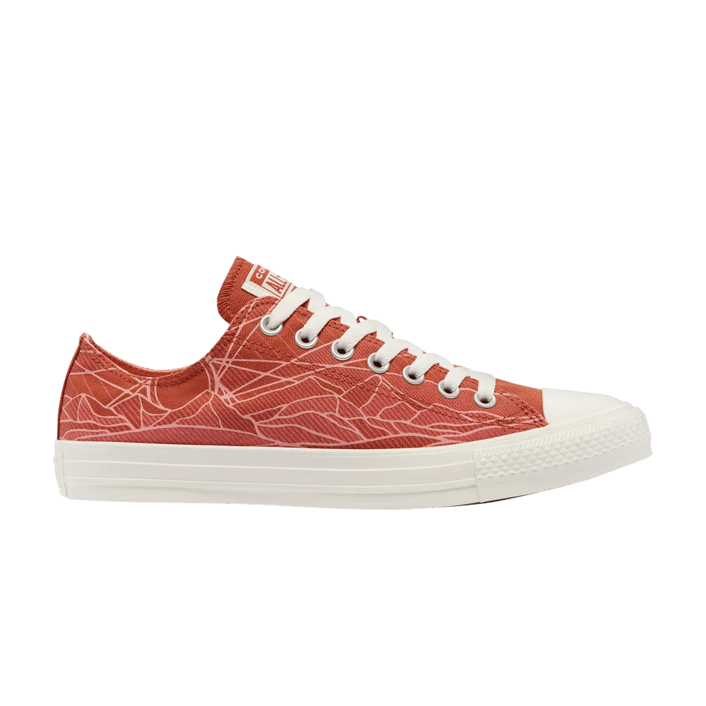 Кроссовки Converse Chuck Taylor All Star Low 'Summer Daze'