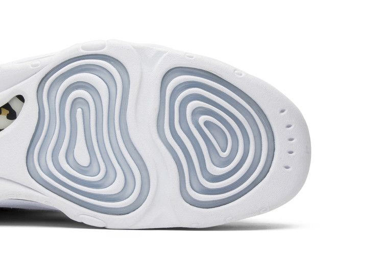 Кроссовки Kith x Nike Air Pippen 1 'Chimera'