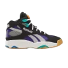 above-the-rim-x-pump-vertical-black-bold-purple-100074933-100x100