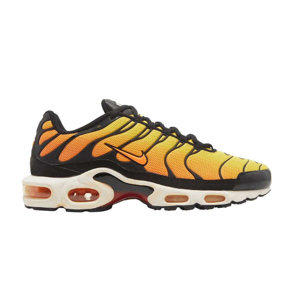 Krossovki-Nike-Air-Max-Plus-TXT-TN-Tiger