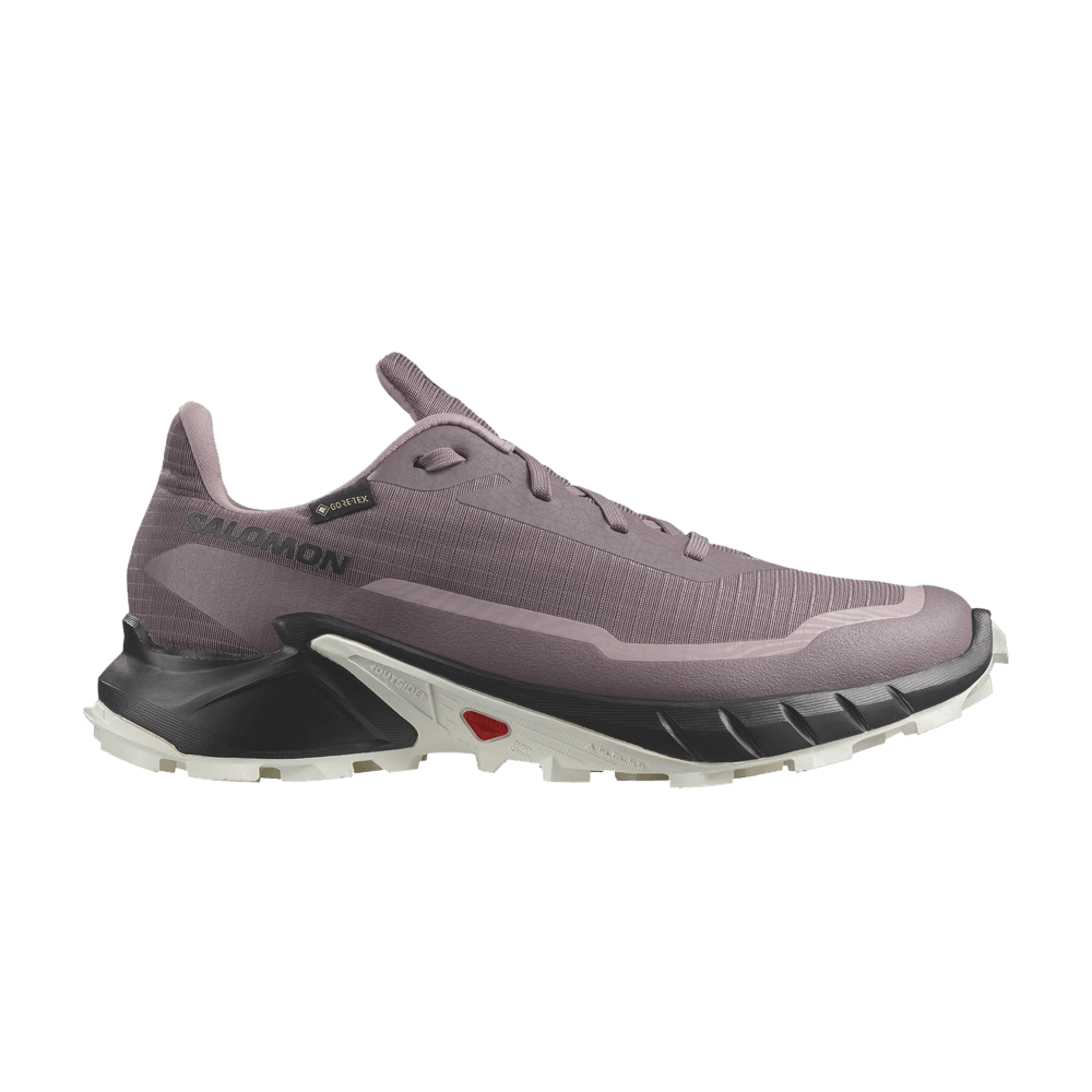 Кроссовки Salomon Wmns Alphacross 5 GORE-TEX 'Moonscape'