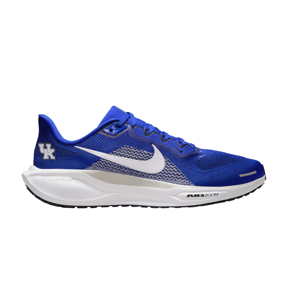 Кроссовки NCAA x Nike Air Zoom Pegasus 41 'Kentucky'