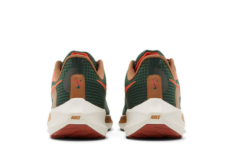 Кроссовки Hola Lou x Nike Air Zoom Pegasus 39 'A.I.R.'