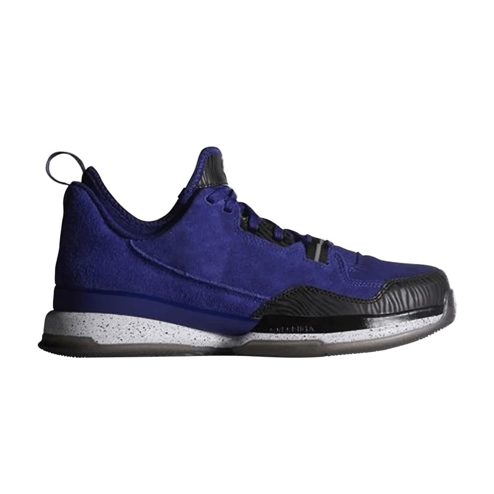 Krossovki-Adidas-D-Lillard-1-McDonalds-Game