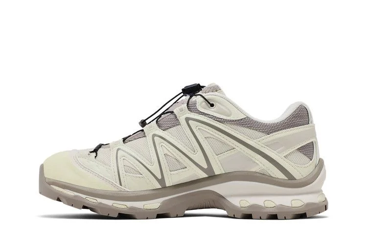 Кроссовки Salomon XT-Quest GORE-TEX 'Almond Milk Aloe'