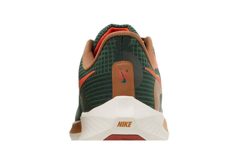 Кроссовки Hola Lou x Nike Air Zoom Pegasus 39 'A.I.R.'