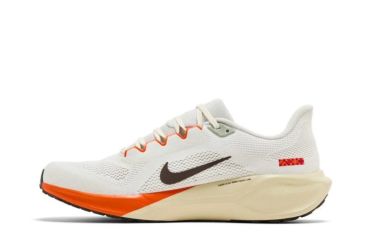 Кроссовки Nike Air Zoom Pegasus 41 'Year of the Snake'
