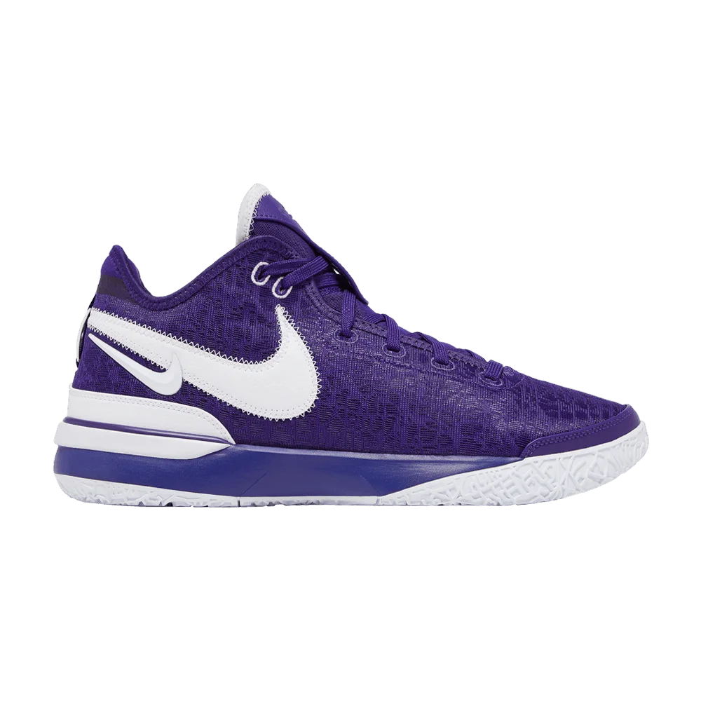 Кроссовки Nike Zoom LeBron NXXT Gen TB Promo 'Team Purple'
