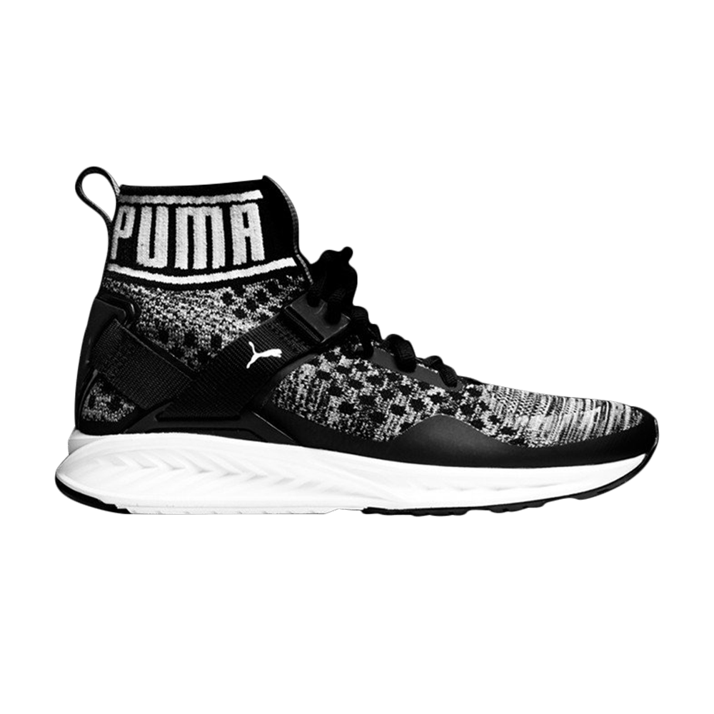 Кроссовки Puma Wmns Ignite evoKNIT