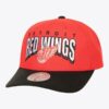 Mitchell-Ness-Red-Detroit-Red-Wings-Boom-Text-Pro-Vintage-Snapback-Hat-100x100