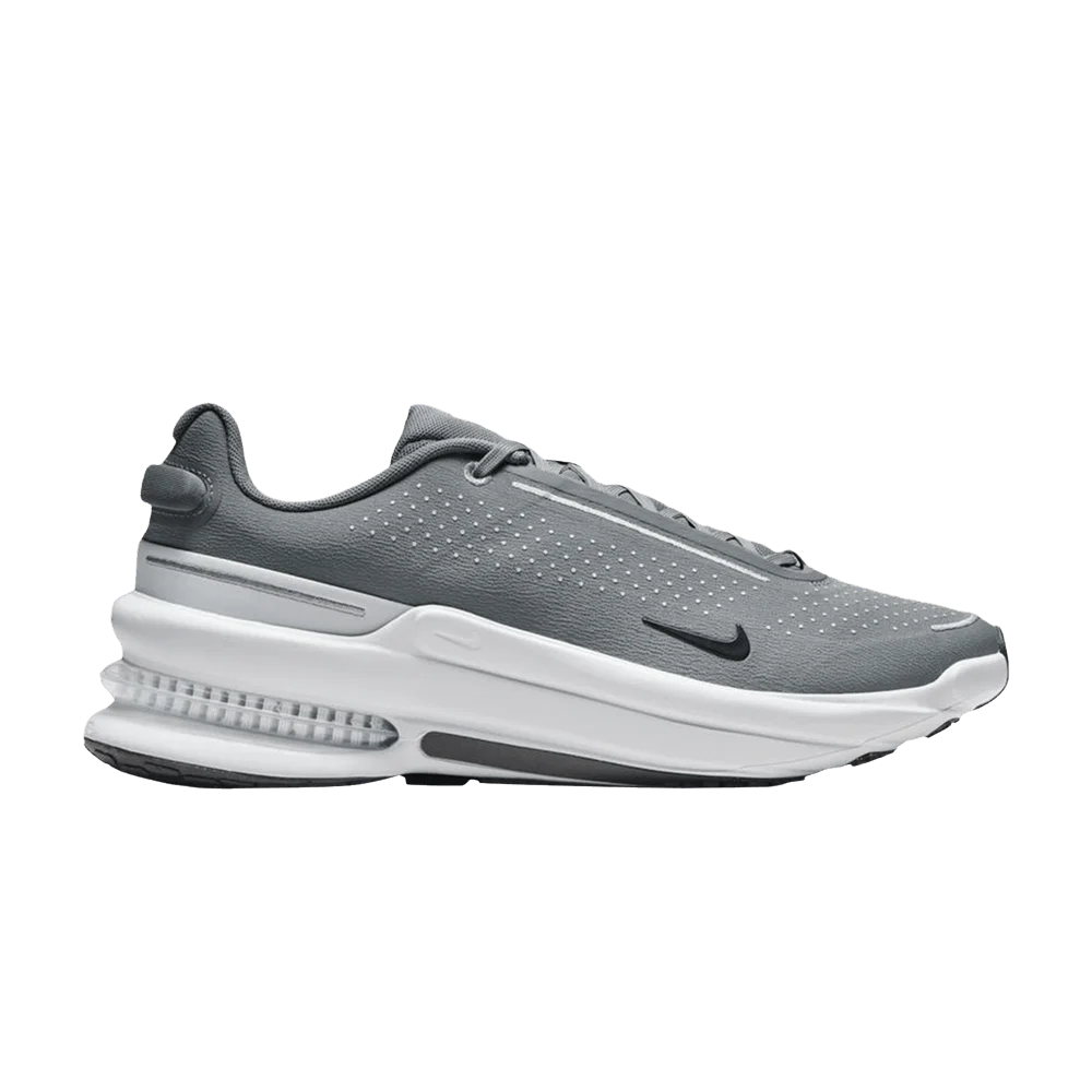 Krossovki-Nike-Air-Zoom-Upturn-Grey-Black-White