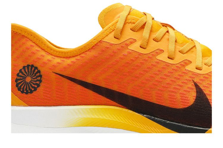zoom-pegasus-turbo-2-blue-ribbon-sports-ck9661-800_01