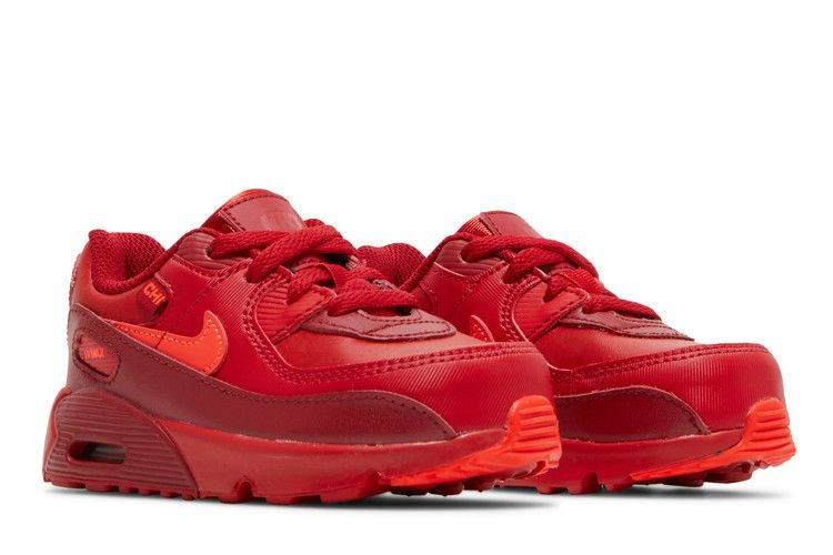 air-max-90-td-city-special-chicago-dh0153-600_07