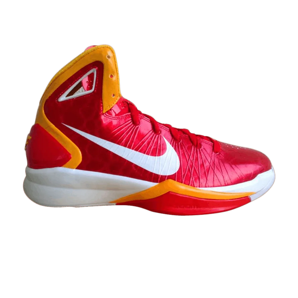 Krossovki-Nike-Hyperdunk-2010-China