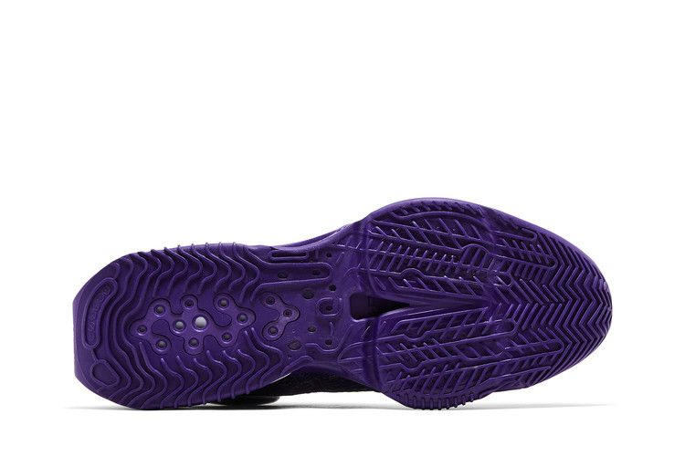 Кроссовки Nike Air Zoom GT Jump 2 TB Promo 'Court Purple'