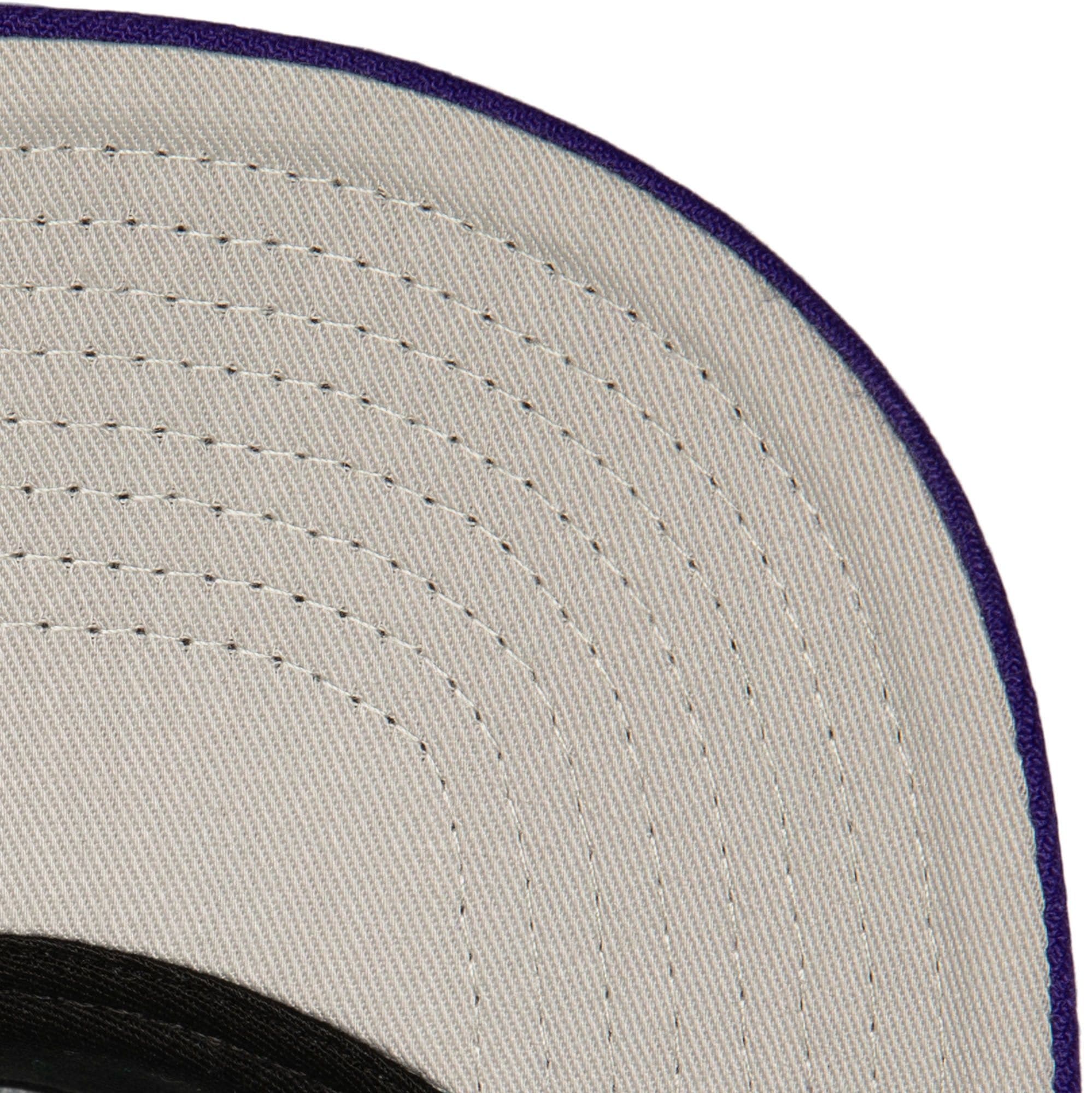 Mitchell-Ness-Crown-Jewels-Pro-Snapback-HWC-Charlotte-Hornets-Hat-3