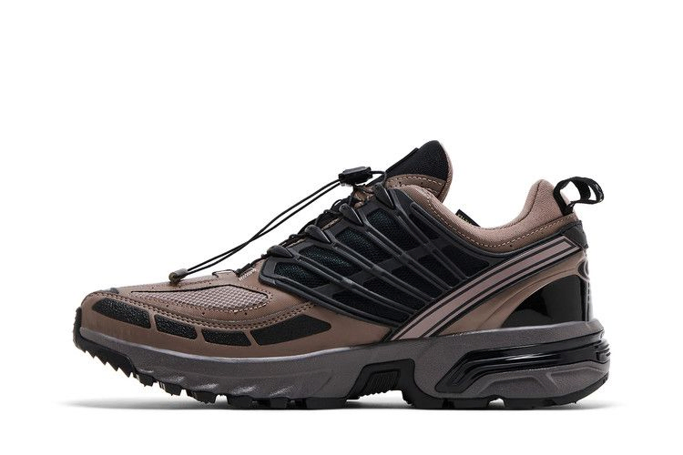 Кроссовки Salomon ACS Pro GORE-TEX 'Iron Plum Kitten'