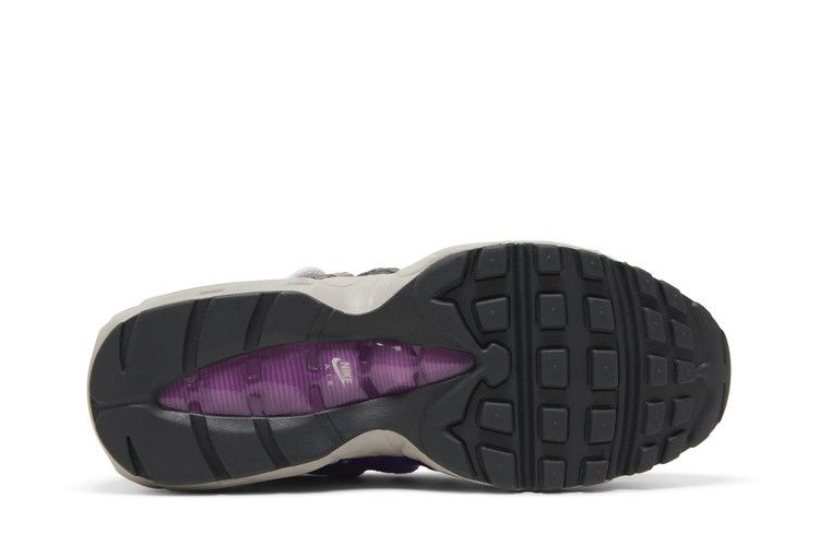 Кроссовки Nike Wmns Air Max 95 'Viotech'